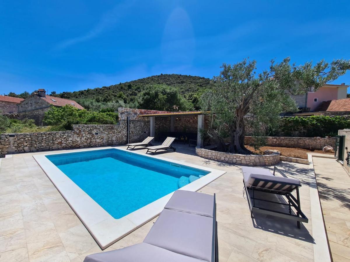 Olive Tree - House With Pool Villa Vinišće Dış mekan fotoğraf