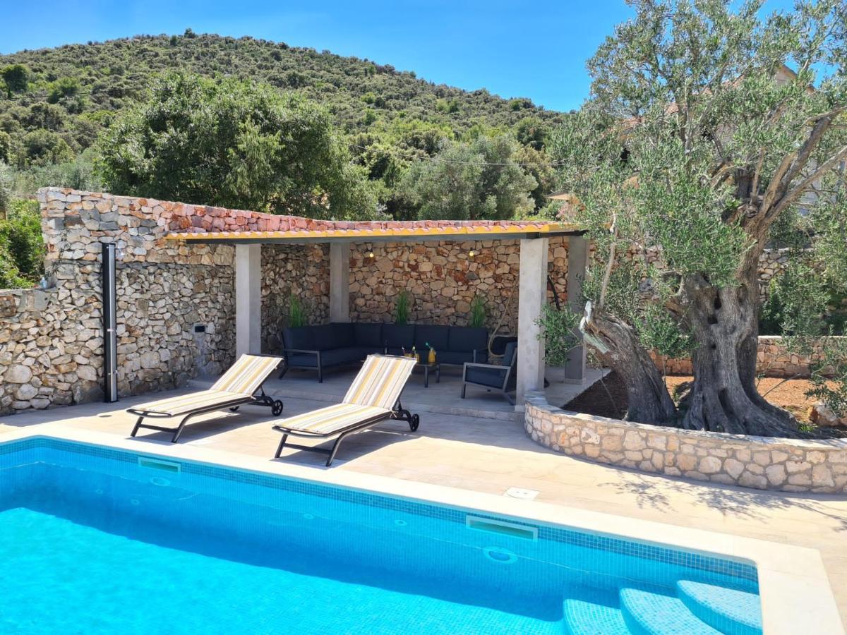 Olive Tree - House With Pool Villa Vinišće Dış mekan fotoğraf